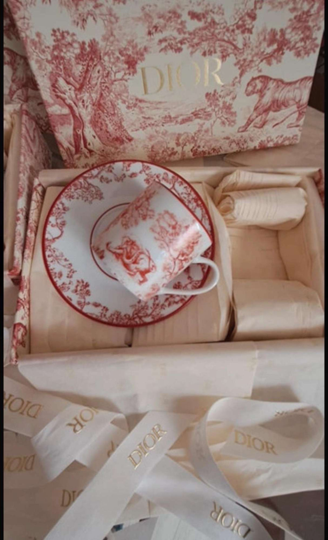 Dior cup Jungle Red