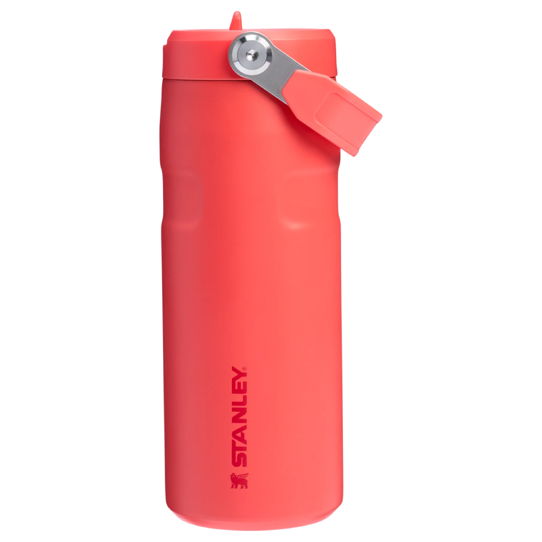 Stanley insulated bottle