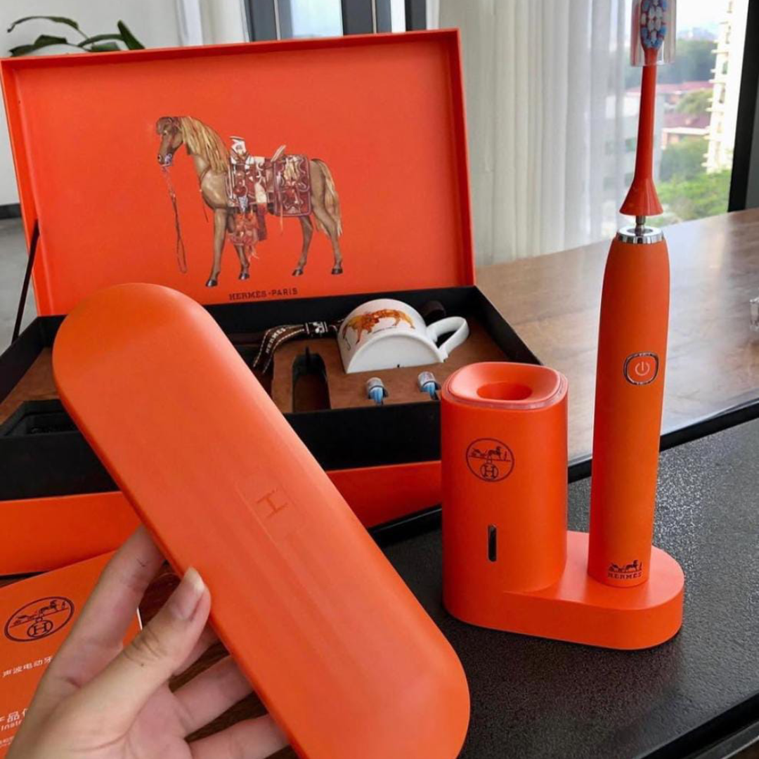 Hermes electric toothbrush set