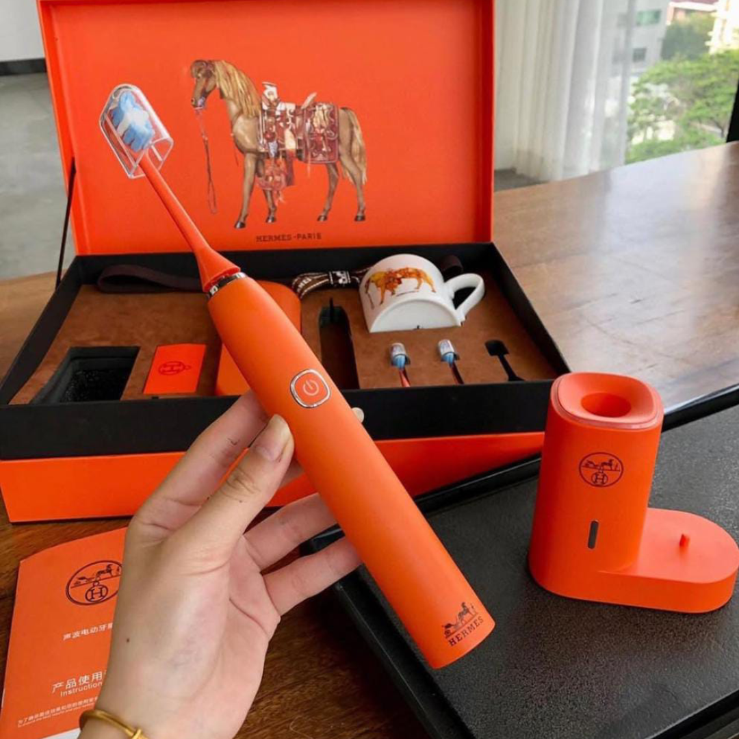 Hermes electric toothbrush set