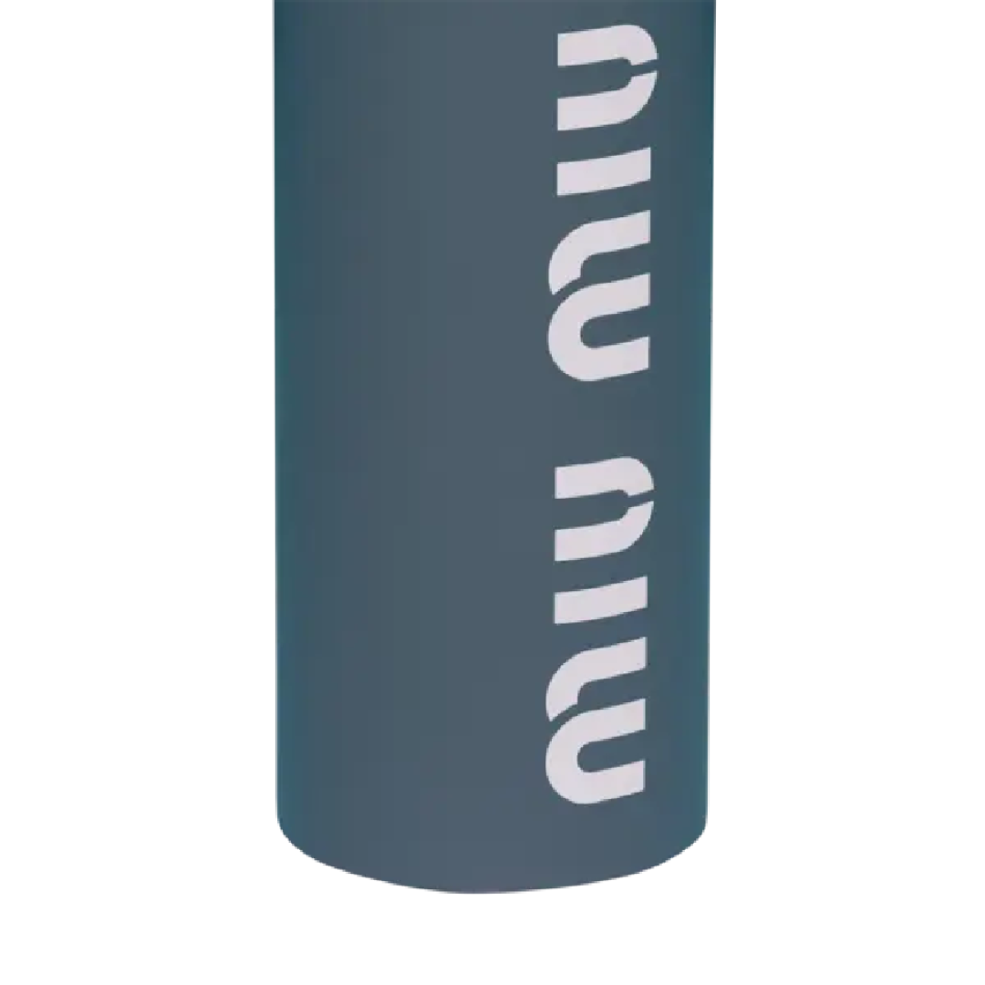 Miu Miu stainless steel