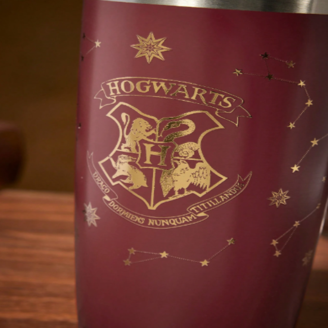 HARRY POTTER X SHEIN