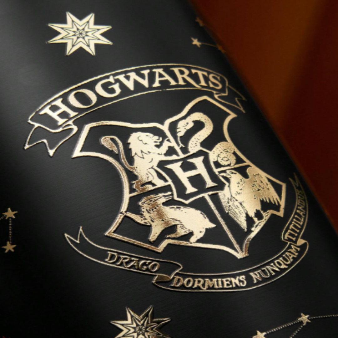 HARRY POTTER X SHEIN