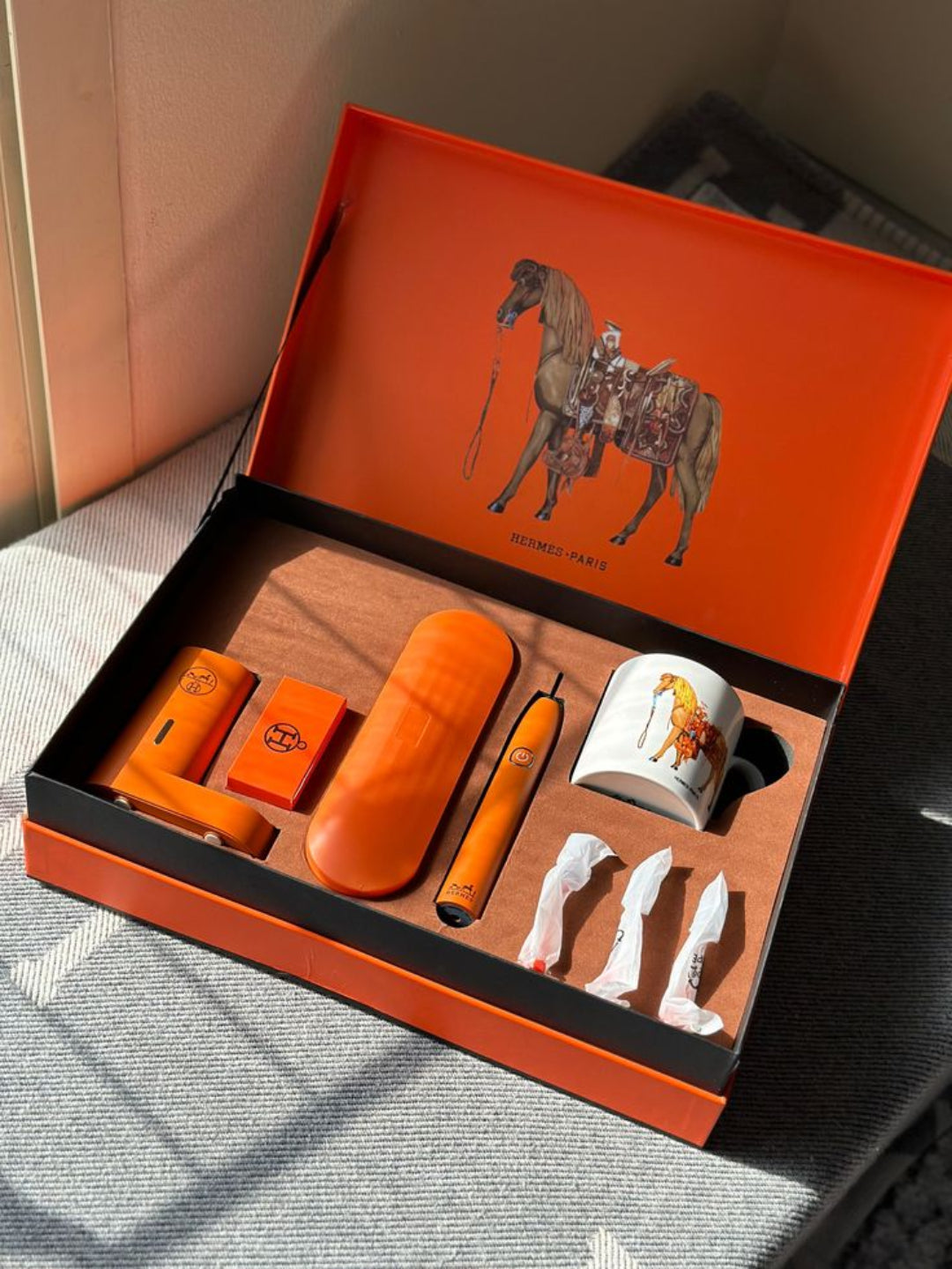 Hermes electric toothbrush set
