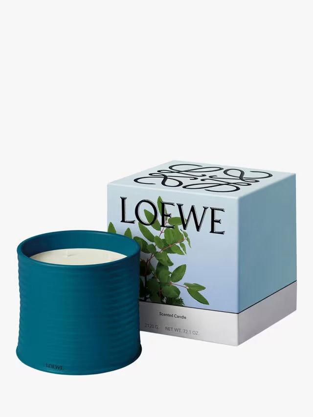 Loewe scented Candles Blend Gifts