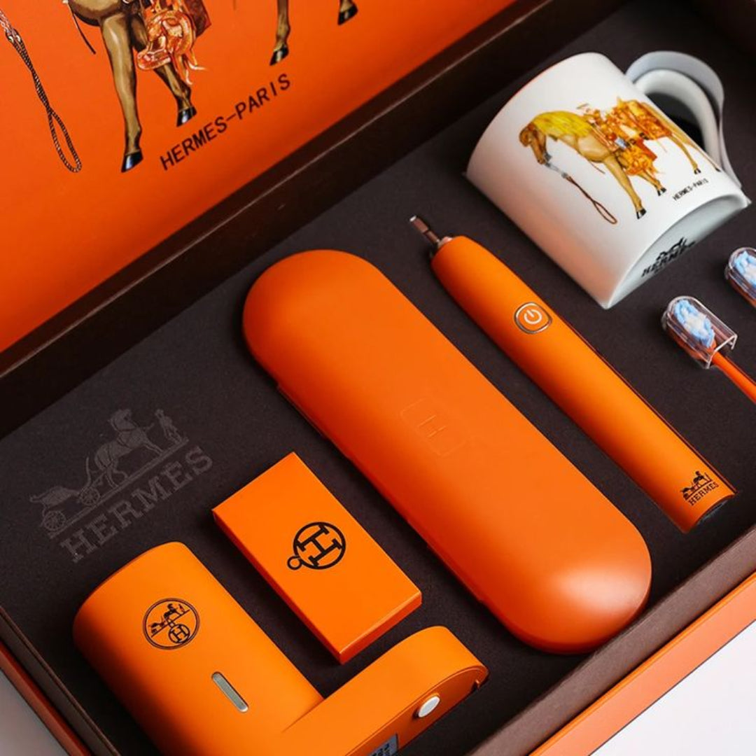 Hermes electric toothbrush set