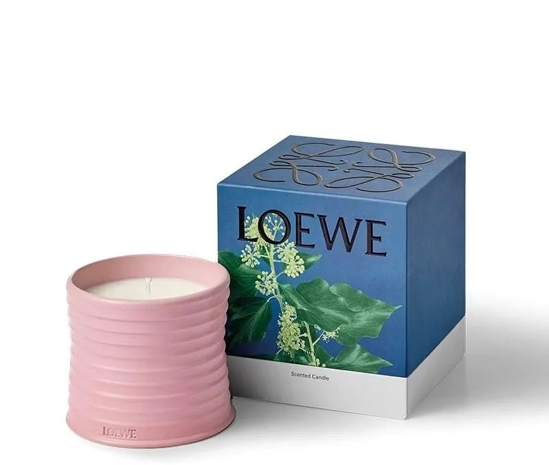 Loewe scented Candles Blend Gifts
