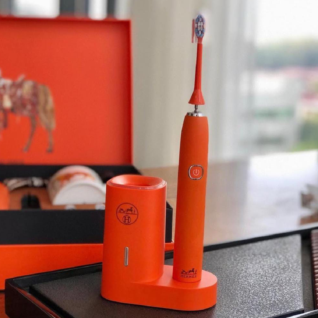Hermes electric toothbrush set