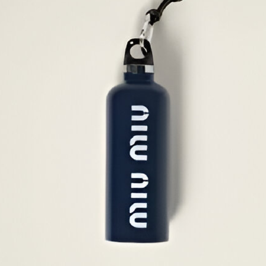 Miu Miu stainless steel