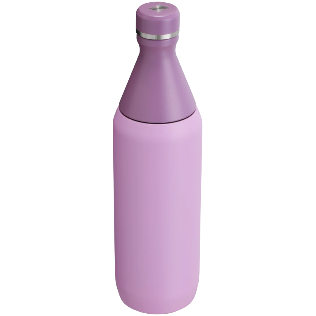 Stanley Classic Insulated Bottle