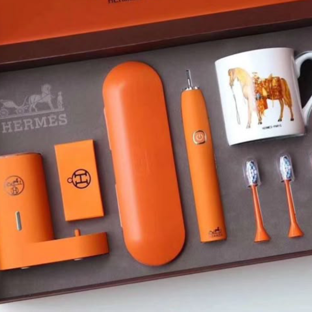 Hermes electric toothbrush set