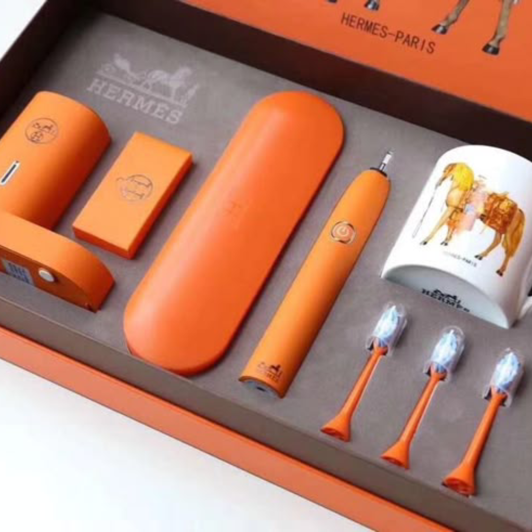 Hermes electric toothbrush set